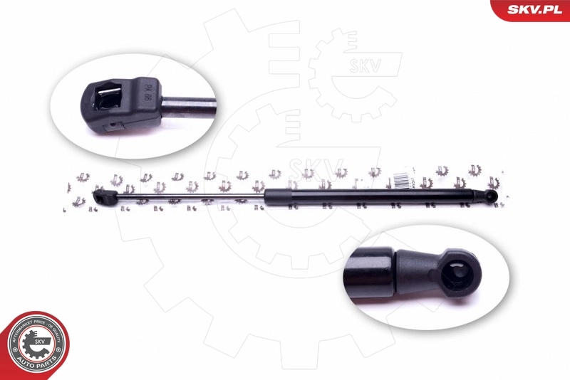 Gas Spring, boot/cargo area